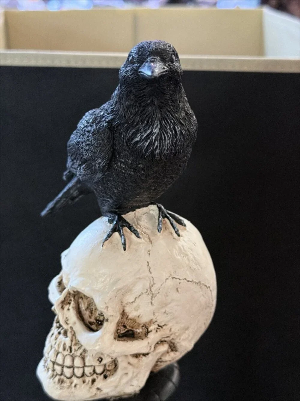 Raven On Skull On Pedastel Trimmed With Gold 15”